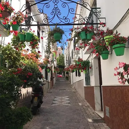 Casa Golondrino Apartment Estepona Exterior photo